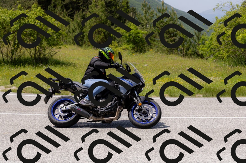 202506071422-_04A0021_c3_