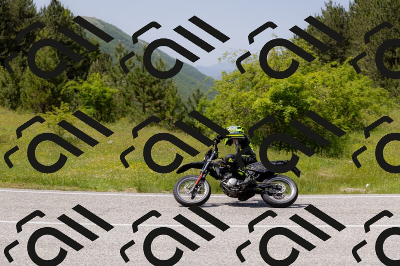 202506071427-_04A0038_c3_