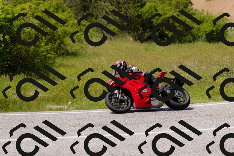 202506071429-_04A0047_c3_