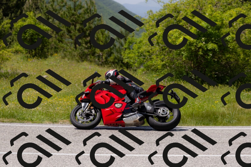 202506071429-_04A0048_c3_