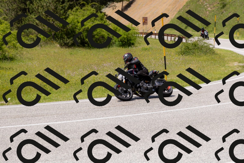 202506071435-_04A0053_c3_