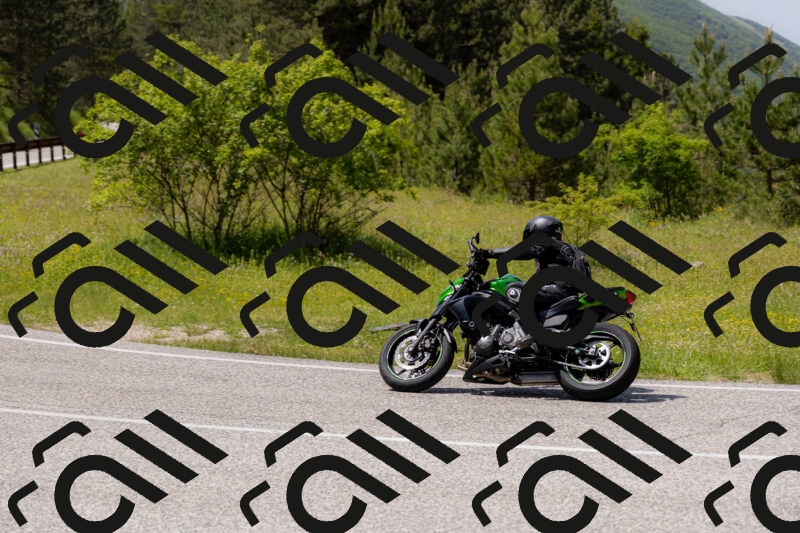 202506071435-_04A0061_c3_