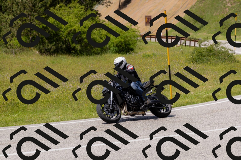 202506071440-_04A0081_c3_