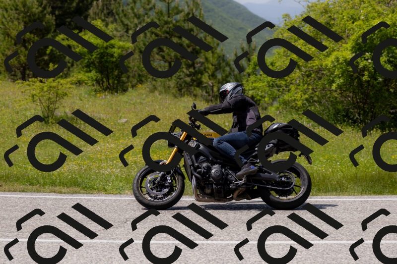 202506071444-_04A0106_c3_