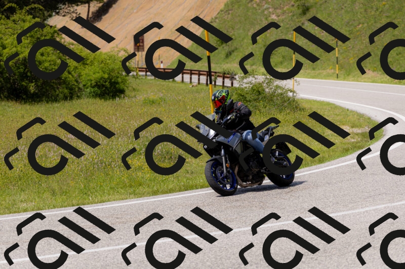 202506071502-_04A0195_c3_