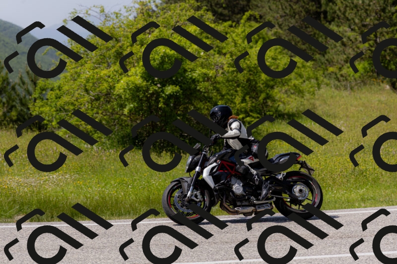 202506071507-_04A0216_c3_