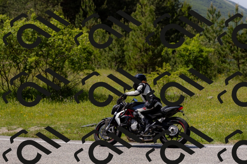 202506071507-_04A0217_c3_