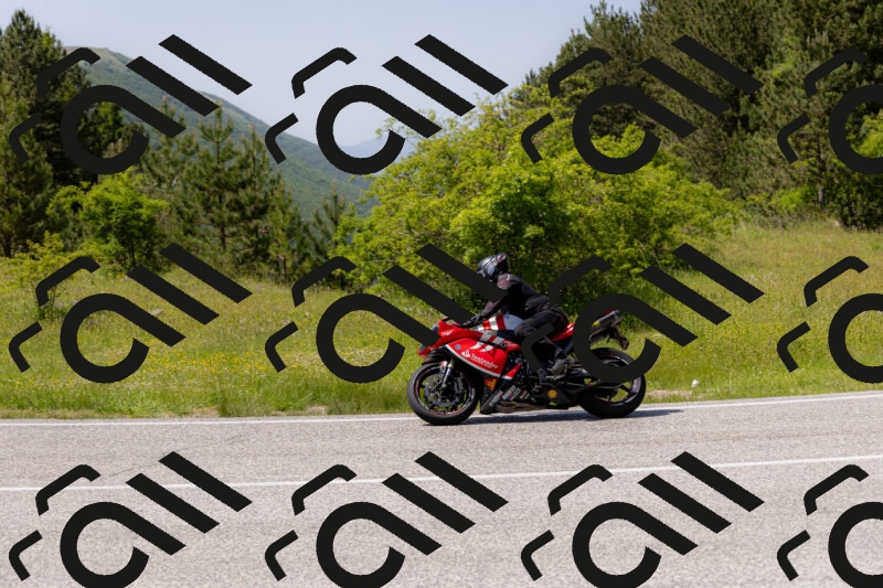 202506071511-_04A0234_c3_