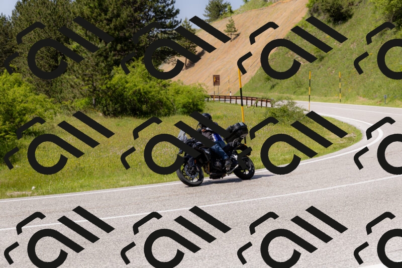 202506071511-_04A0238_c3_