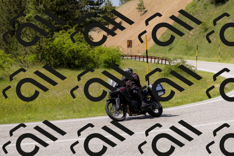 202506071512-_04A0253_c3_