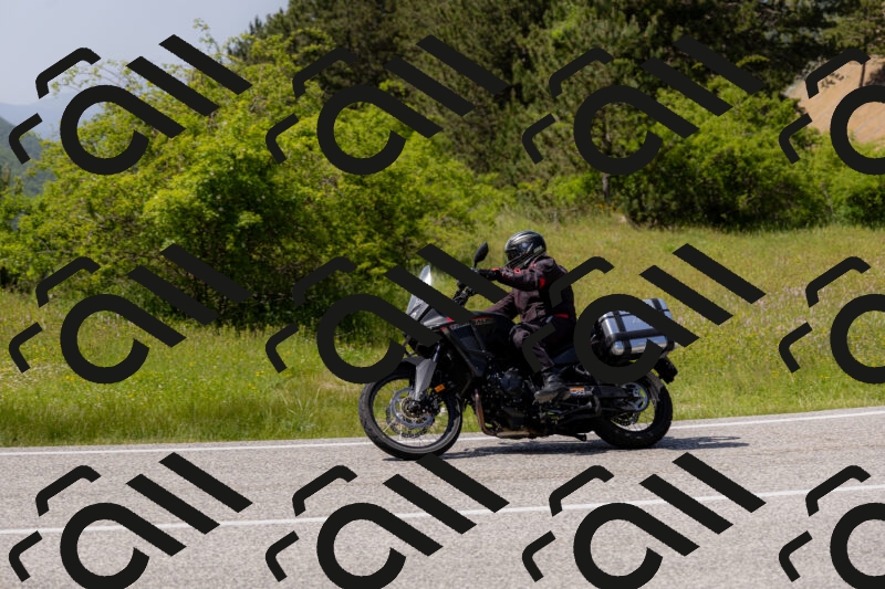 202506071512-_04A0254_c3_