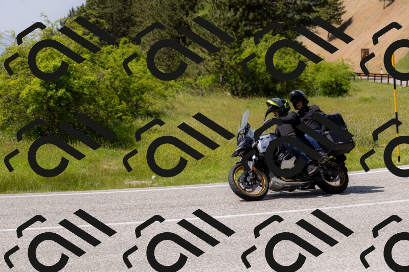 202506071514-_04A0256_c3_