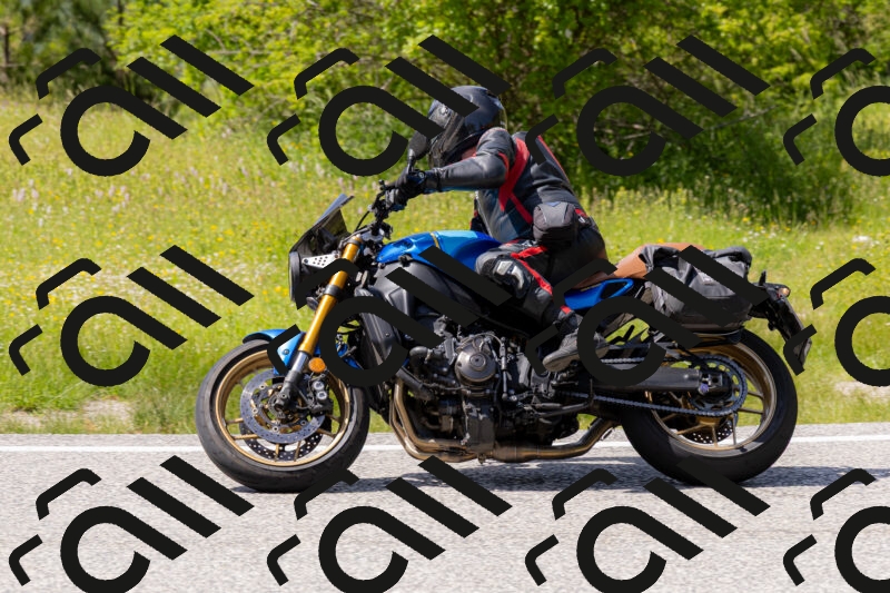 202506071518-_04A0264_c3_