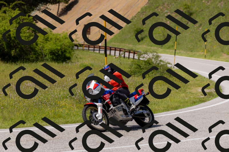 202506071528-_04A0292_c3_