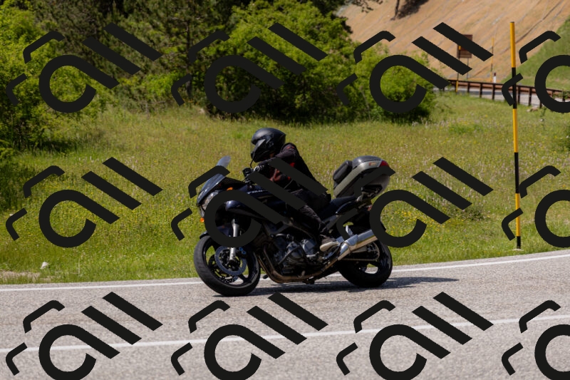 202506071528-_04A0295_c3_