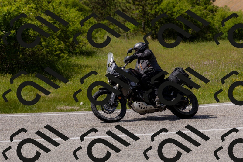 202506071535-_04A0317_c3_