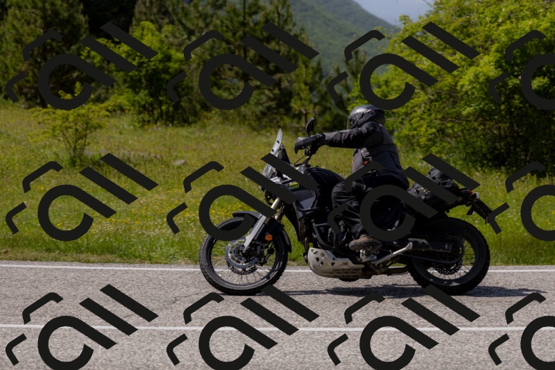 202506071535-_04A0318_c3_