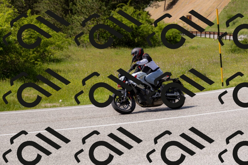 202506071542-_04A0331_c3_