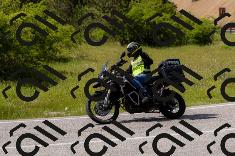 202506071545-_04A0336_c3_