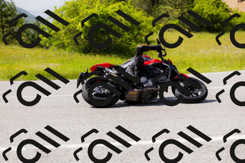 202506071555-_04A0458_c3_