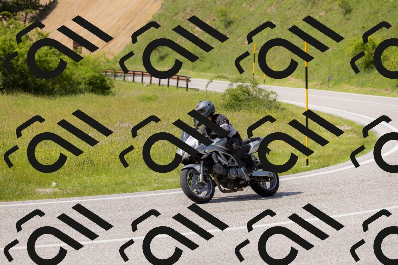 202506071559-_04A0509_c3_