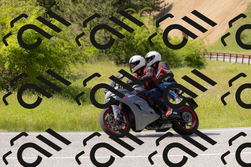 202506071600-_04A0525_c3_