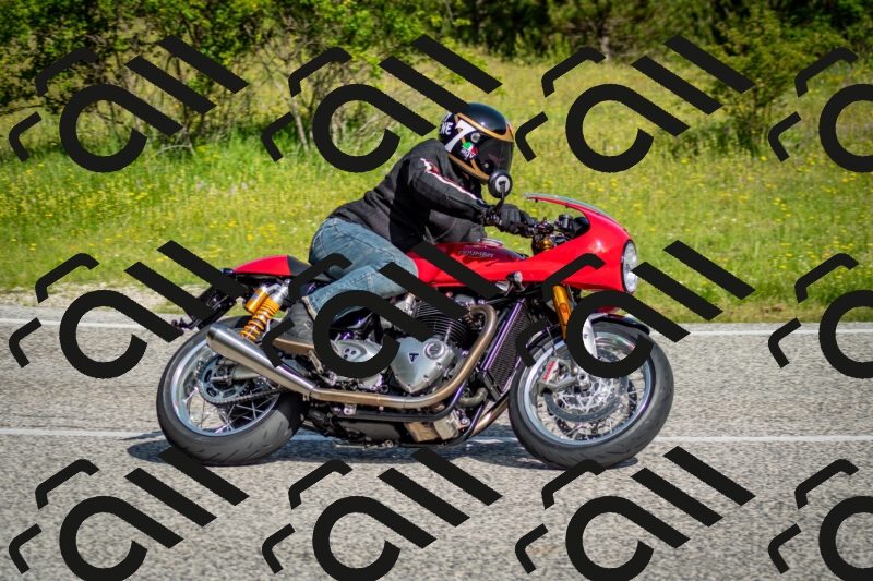 202506070930-DSC_4248_c2