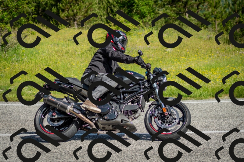 202506070930-DSC_4250_c2