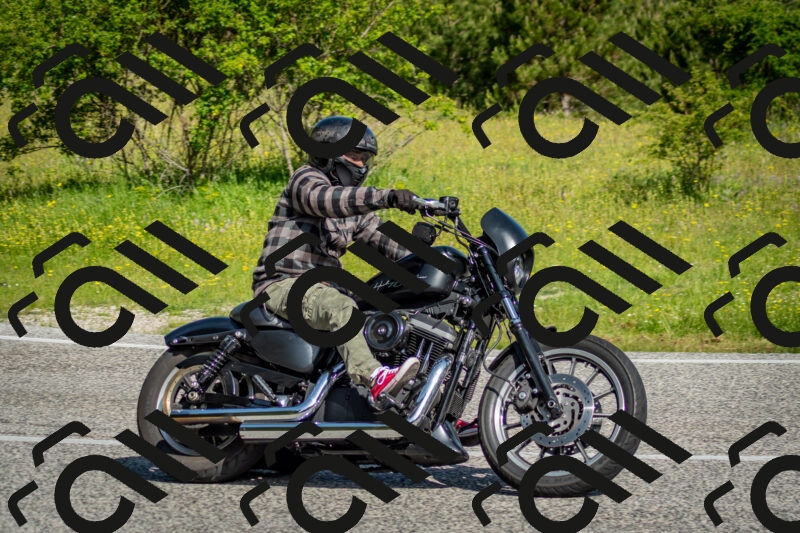 202506070938-DSC_4262_c2