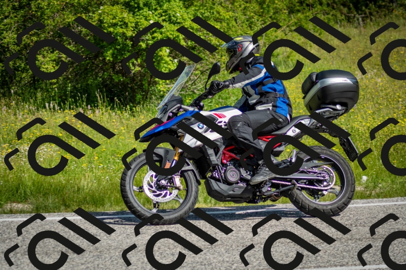 202506071008-DSC_4317_c2