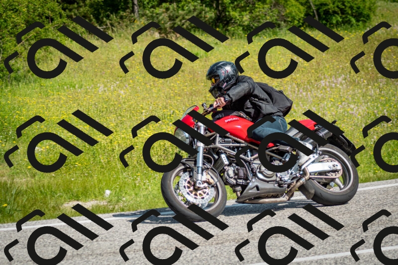 202506071013-DSC_4321_c2