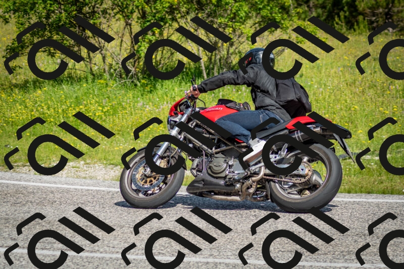 202506071013-DSC_4322_c2