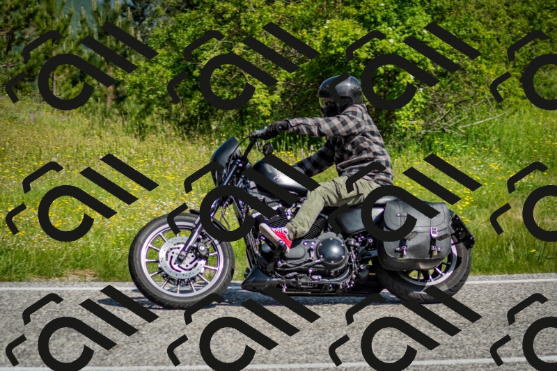 202506071013-DSC_4325_c2