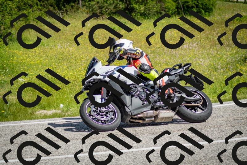 202506071020-DSC_4329_c2