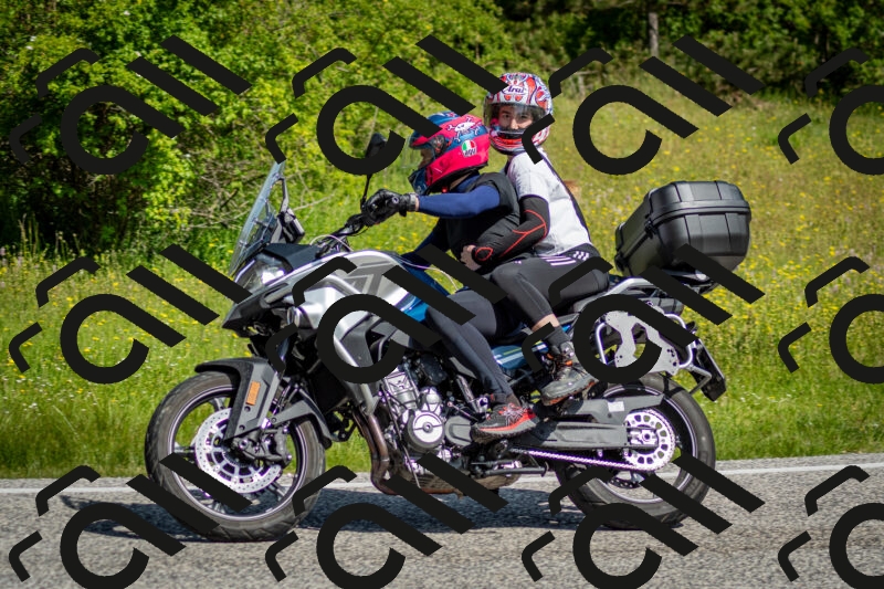 202506071023-DSC_4334_c2