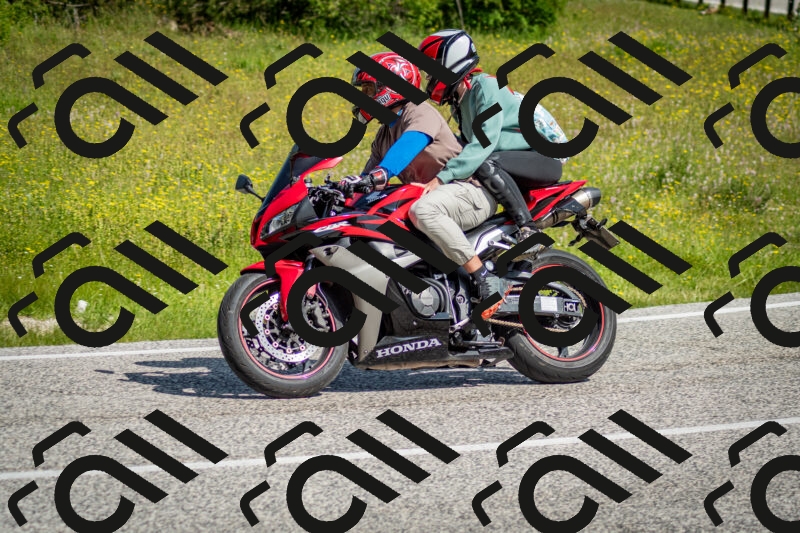 202506071023-DSC_4336_c2