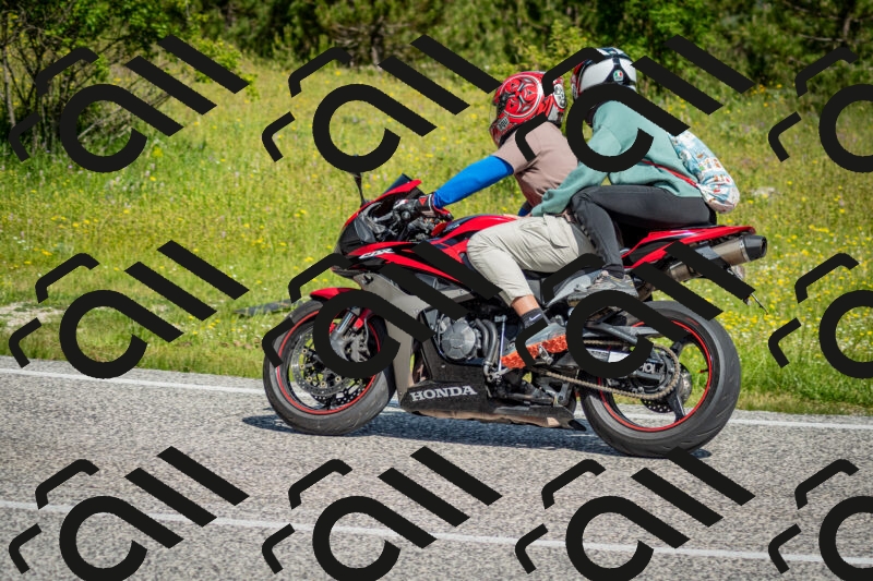 202506071023-DSC_4337_c2