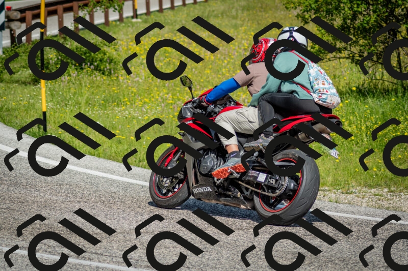 202506071023-DSC_4338_c2