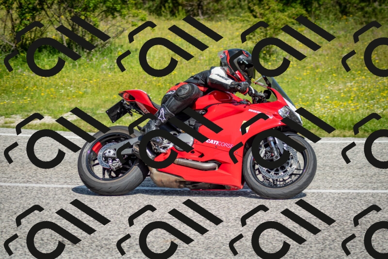 202506071024-DSC_4346_c2