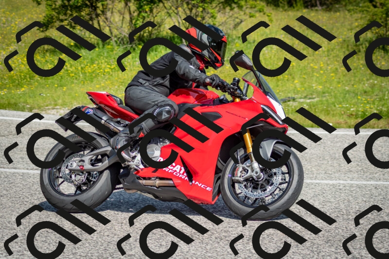 202506071024-DSC_4348_c2