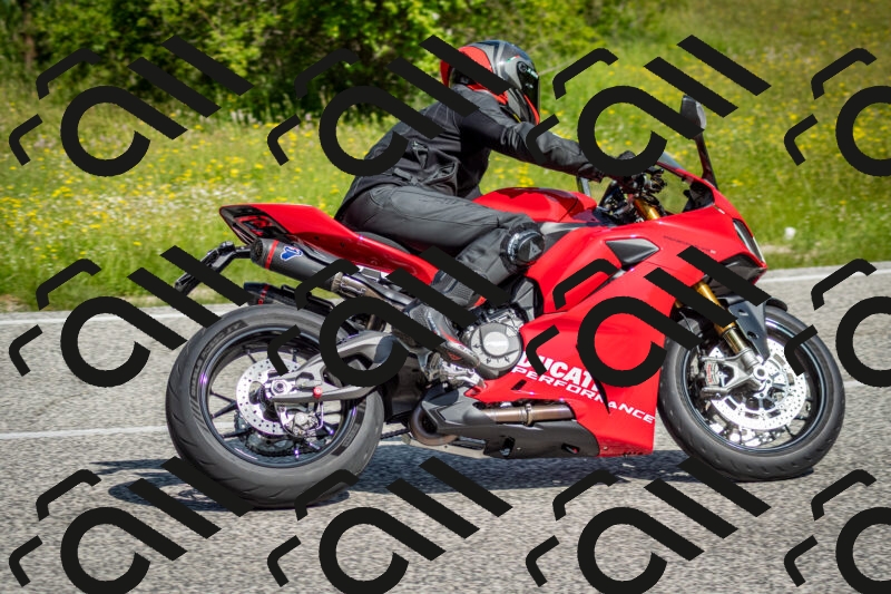 202506071024-DSC_4349_c2