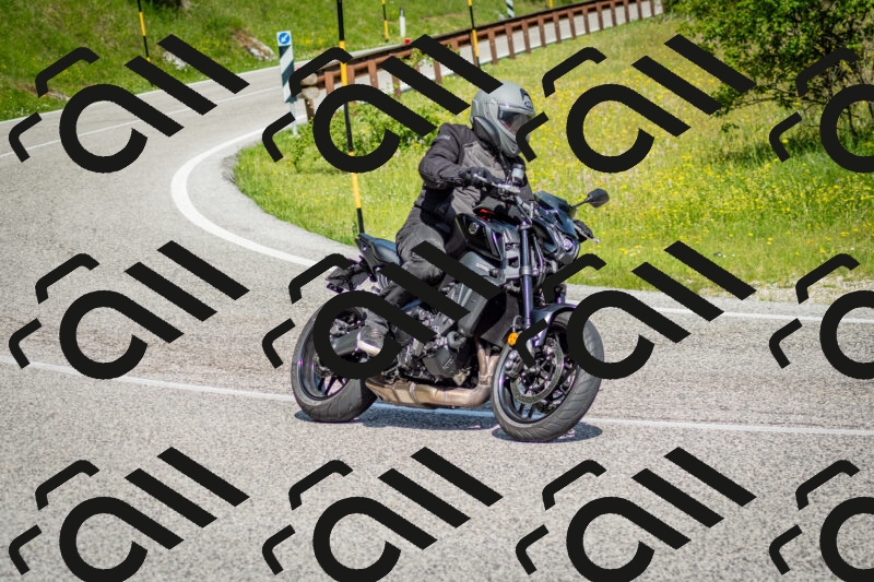 202506071024-DSC_4350_c2