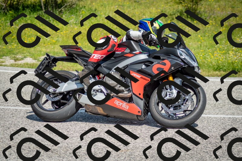 202506071025-DSC_4356_c2