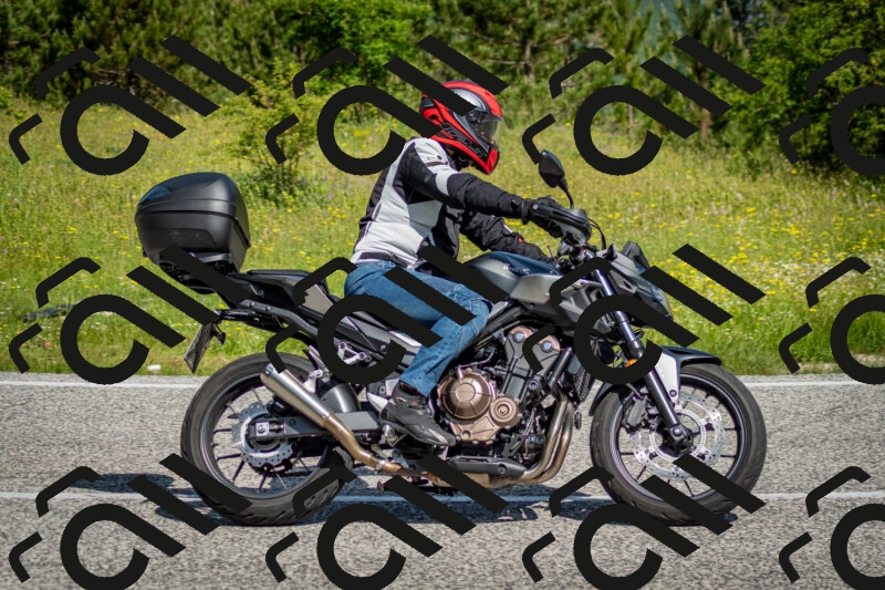 202506071027-DSC_4362_c2