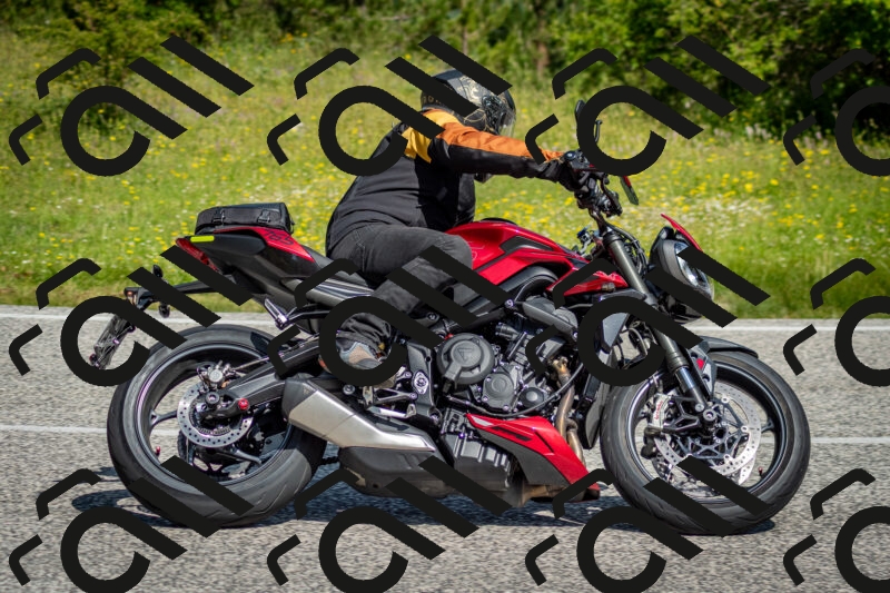 202506071027-DSC_4365_c2