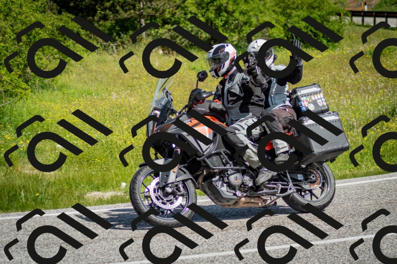 202506071028-DSC_4371_c2