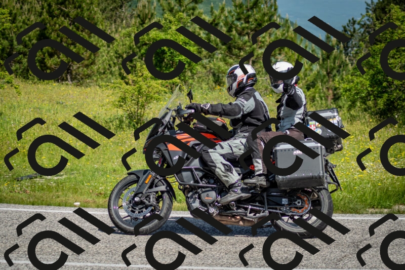 202506071028-DSC_4372_c2