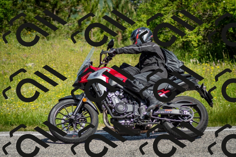 202506071031-DSC_4375_c2