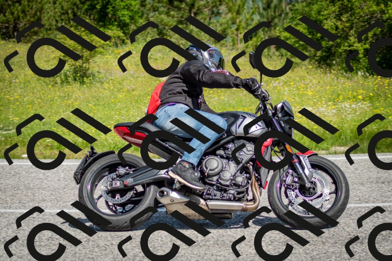 202506071034-DSC_4383_c2