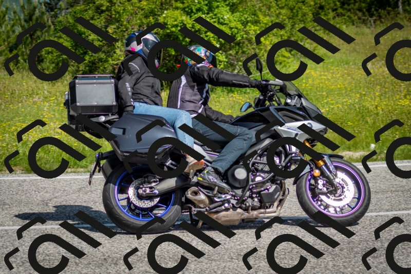 202506071037-DSC_4393_c2